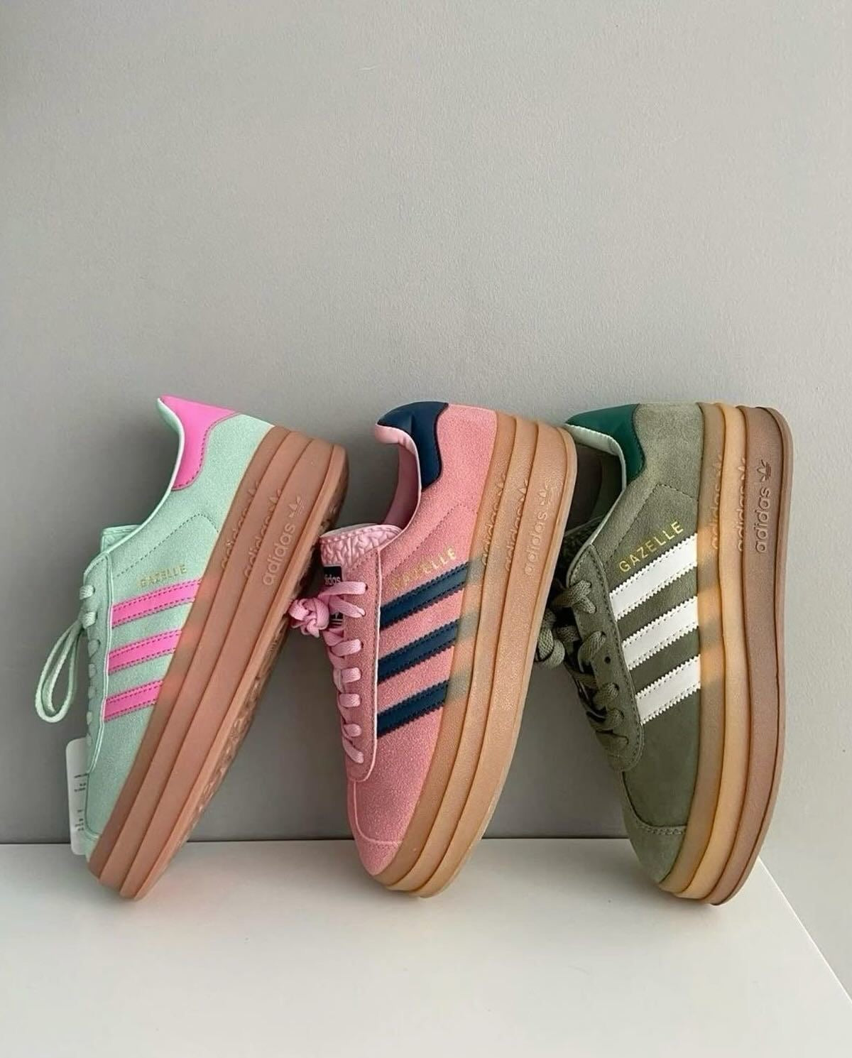 GAZELLE BOLD