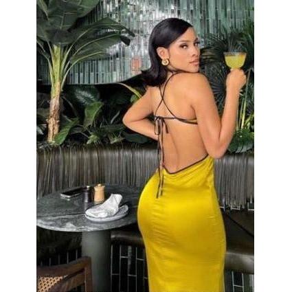 Sexy Backless V-Neck Dress