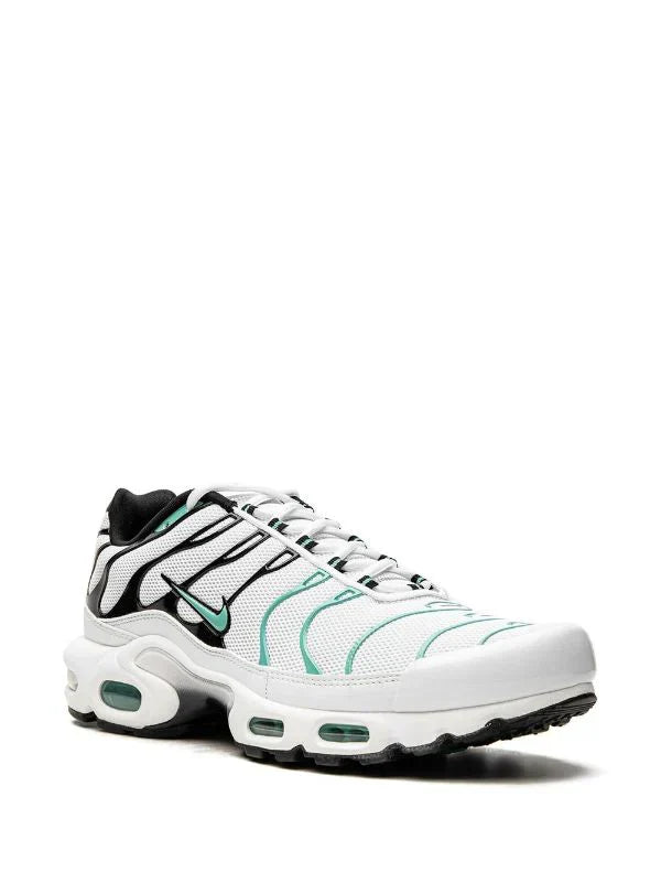 Nike Air Max Plus "Atmos"