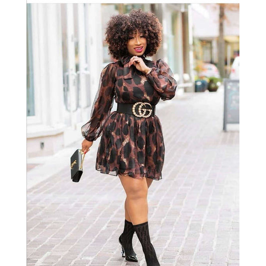Sheer Leopard Print Dress 
