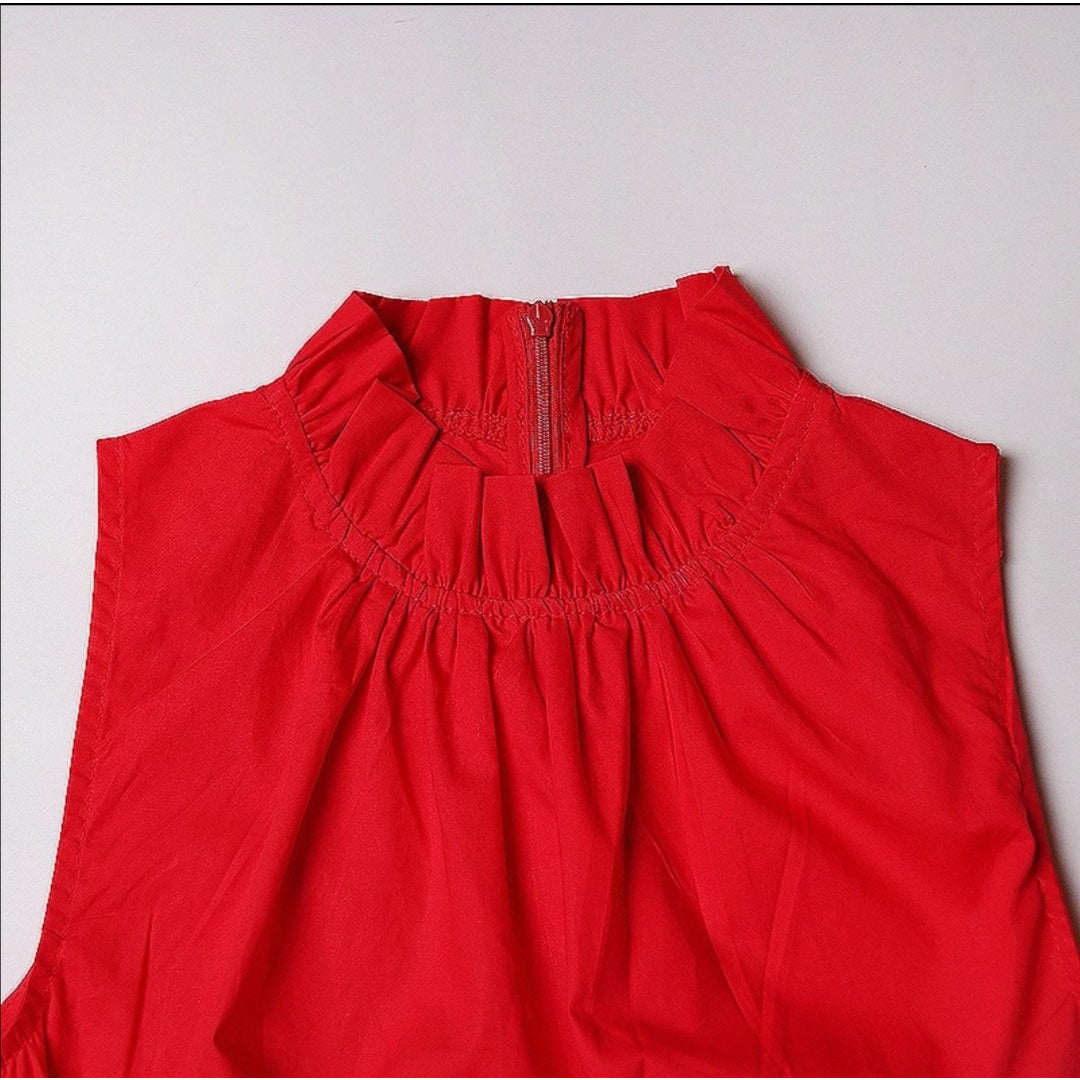 Ruffles Stand Collar Dress