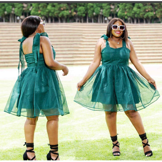 Plain Sexy Sleeveless Lace Dress.