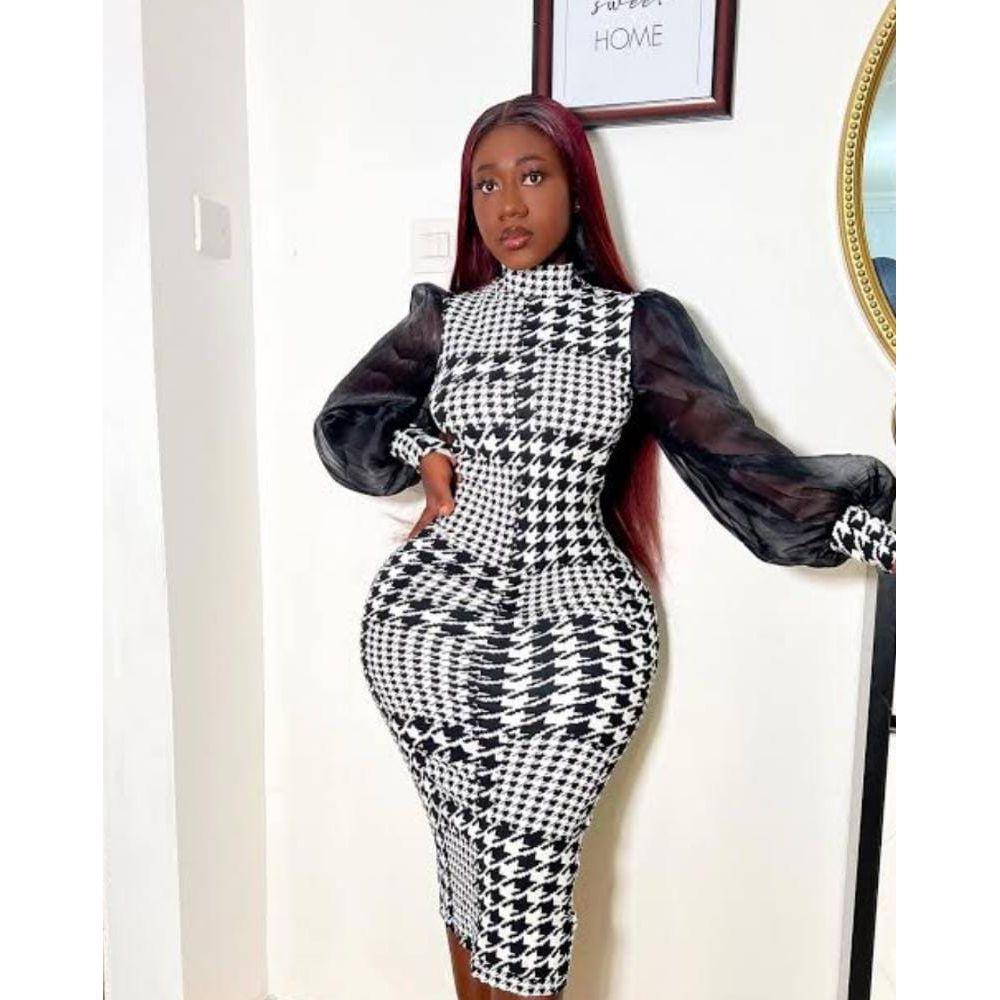 Houndstooth Print Mesh Sleeve Dress