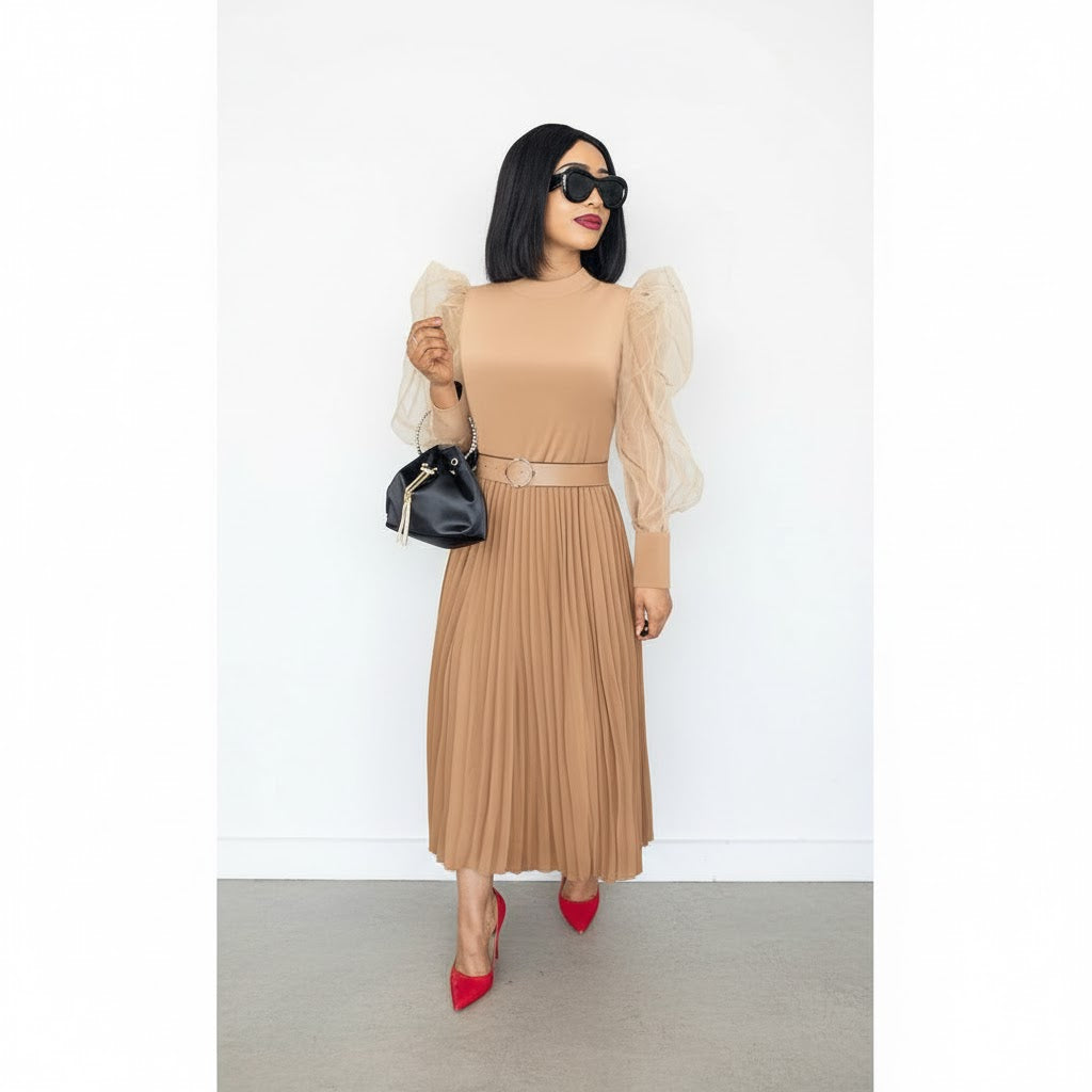 Long Mesh Sleeve Pleated Dress