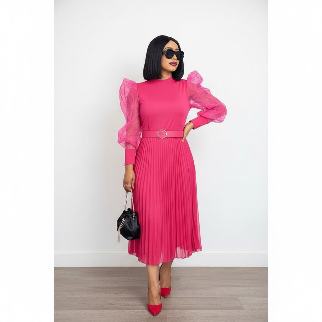 Long Mesh Sleeve Pleated Dress